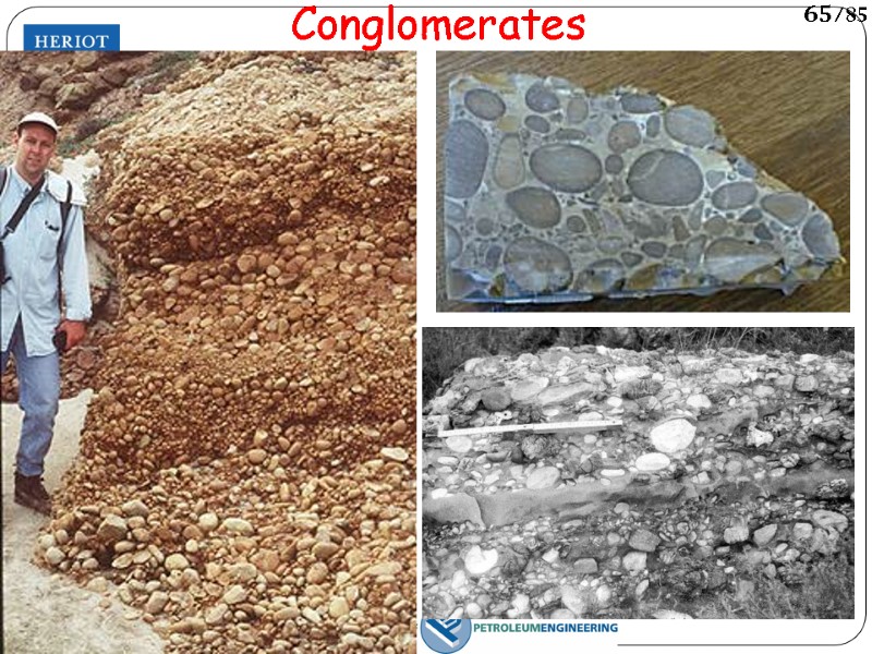 Conglomerates 65/85